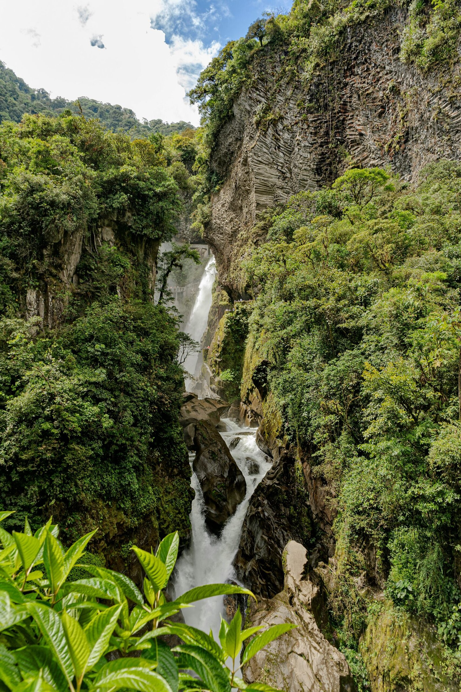 green trees and plants near river during daytime